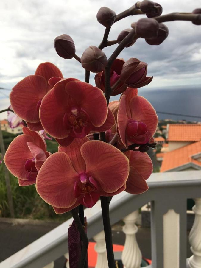 Slice Of Ponta Do Sol- Ground Floor- Sea View Apartment Ponta do Sol  Exterior photo